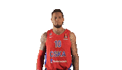 Basketball Swipe Up Sticker by CSKA Moscow