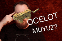 Ocelot GIF