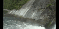Climate Change Education GIF by DIIMSA Stock