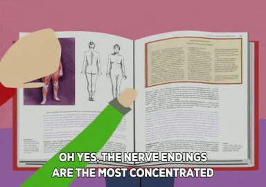 book biology GIF by South Park 