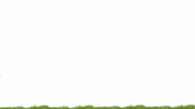 TotalEnergiesDZ football foot chan algeria GIF