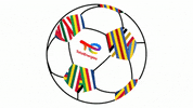 TotalEnergiesDZ football foot chan algeria GIF