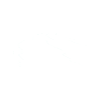 rabbitfootskate rabbit rabbitfoot rabbitwax rabbitfootskate Sticker