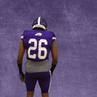 Football Wesleyan GIF by KWC Panthers