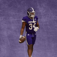 Football Wesleyan GIF by KWC Panthers