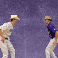 Baseball Wesleyan GIF by KWC Panthers