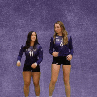 Volleyball GIF by KWC Panthers
