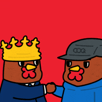 COQINU bet deal coq bokbok GIF