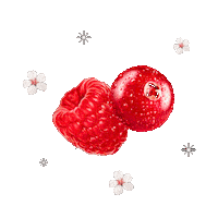 Flower Cherry Sticker by Shiseido Indonesia