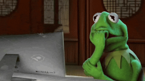 Frog Laptop GIF
