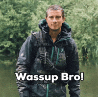 Bear Grylls Wassup Bro GIF