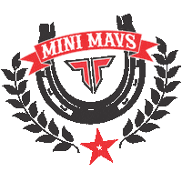 tumbletech techcheer tech cheer mini mavs tech cheer mini mavs Sticker