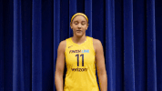 basketball sport GIF by Indiana Fever