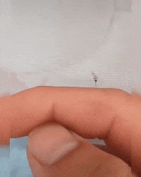 wow GIF by JustViral.Net