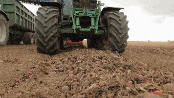ASA-LIFT vegetables harvest onion carrots GIF