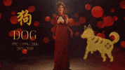 New Year Zodiac GIF by BuzzFeed