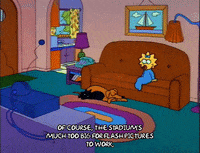 Season 2 GIF by The Simpsons