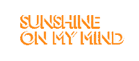 Summer Time Sticker by lancasterbeauty