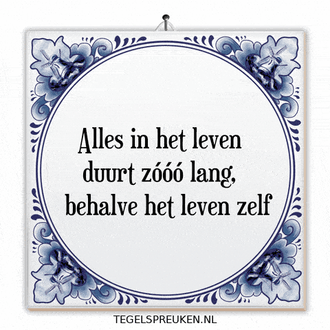 Moment Nl GIF by Tegelspreuken.nl