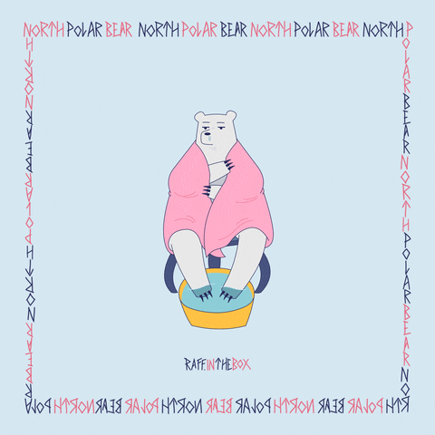 raffinthebox giphyupload animation animated bear GIF