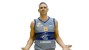 What The Hell Wtf Sticker by Sheffield Sharks