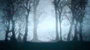 Fm Bhoot GIF