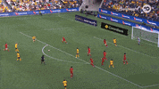 Celebration Goal GIF by Football Australia