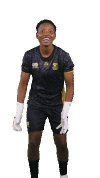 Happy Sport Sticker by Shield South Africa