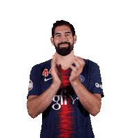 nikola karabatic smile Sticker by Paris Saint-Germain Handball