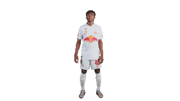 Football Sport Sticker by FC Red Bull Salzburg