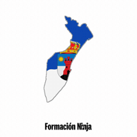 Roquetas De Mar Flag GIF by Formación Ninja