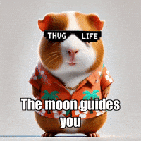 GIF by Guinea Gambino