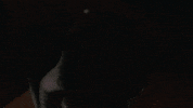 Gregg Sulkin Sticker GIF by HULU