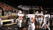 MercerBears bears mercer mercer bears mercerfb GIF