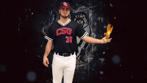 GIF by Columbus State University Athletics