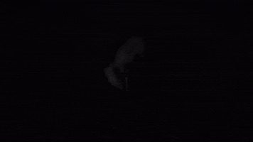 Black And White Singing GIF by tensidemusic