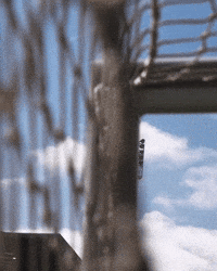 West Brom Wba GIF by West Bromwich Albion