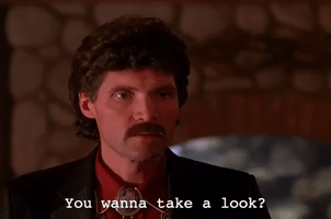 season 1 GIF by Twin Peaks on Showtime