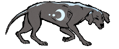 Logo Aussie Sticker