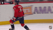 Happy Washington Capitals GIF by NHL