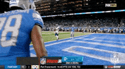 Detroit Lions Football GIF by NFL