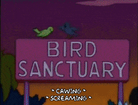 season 6 GIF