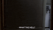 season 4 episode 3 GIF by Workaholics