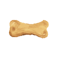 Bones Treat Sticker by Beco