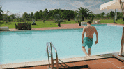 VIER vier demol GIF