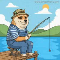 Shiba Inu Waiting GIF by Doge Pound
