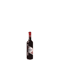 RonColonSalvadoreno alcohol cocktails rum bartender Sticker