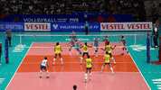 Hit Attack GIF by Volleyball World