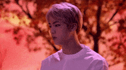 Blood Sweat Tears Wings GIF by BTS