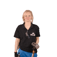 Royal Dutch Airlines Travel Sticker by KLM